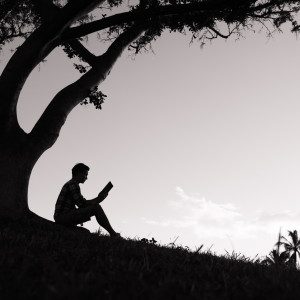 Book reader