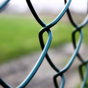 Fence green grass